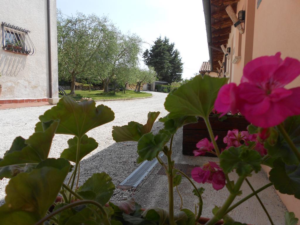 Santa Croce Villa Fossato di Vico Luaran gambar